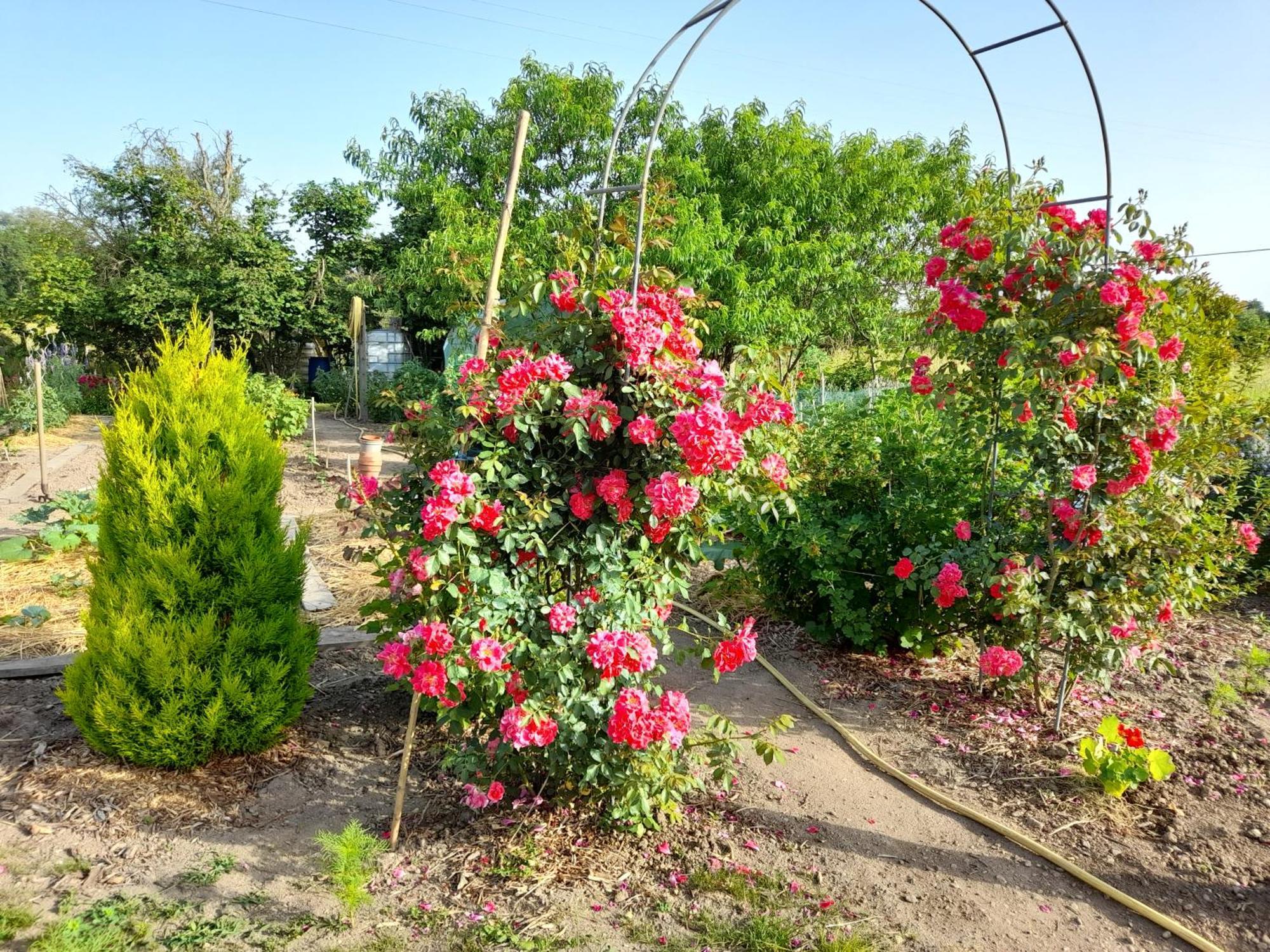 Bed and Breakfast Les Abelias Hauterive  Esterno foto